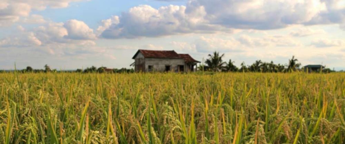 Usucapião de imóvel rural